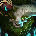 Bannanarius#EUW