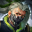 Core CP#EUW